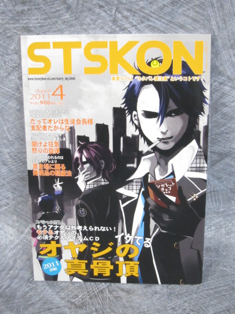 STARRY SKY STSKON 42011 wCD Art Material Limited Book Fanbook PSP RARE Japan